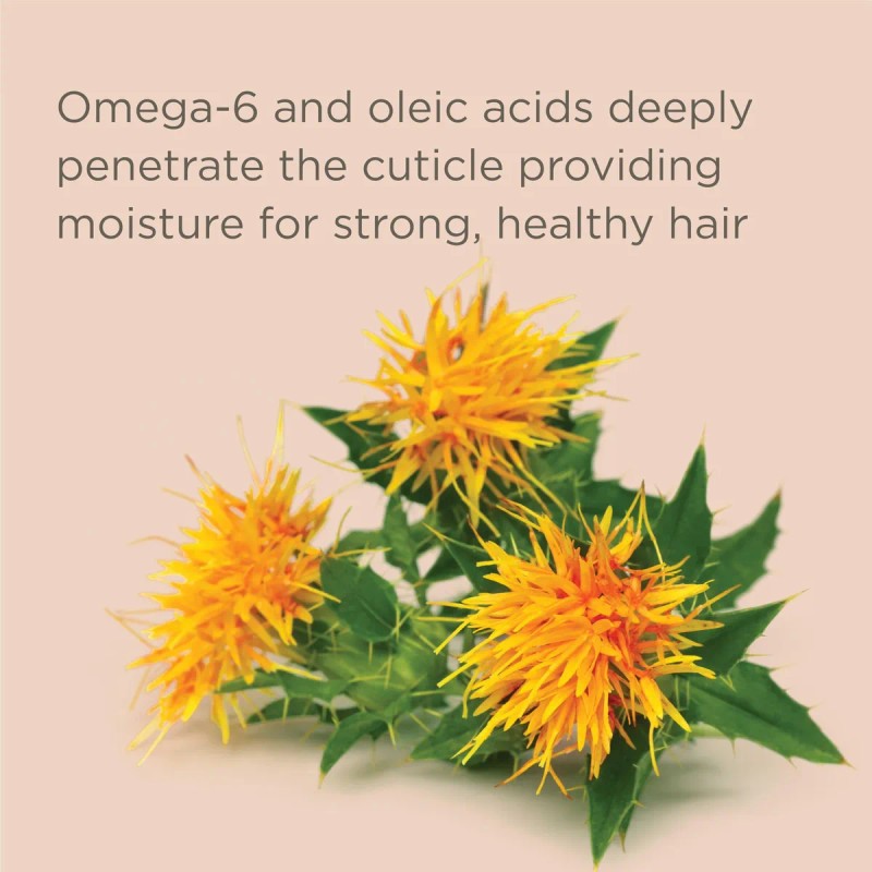 Champú Y Acondicionador Hairitage Pass On The Brass Purple