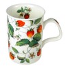 Roy Kirkham Alpine Strawberry Cup 250 ml