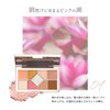 Shine You Eye Shadow Palette: Hulun Flynn Thai Cosmetics, 9