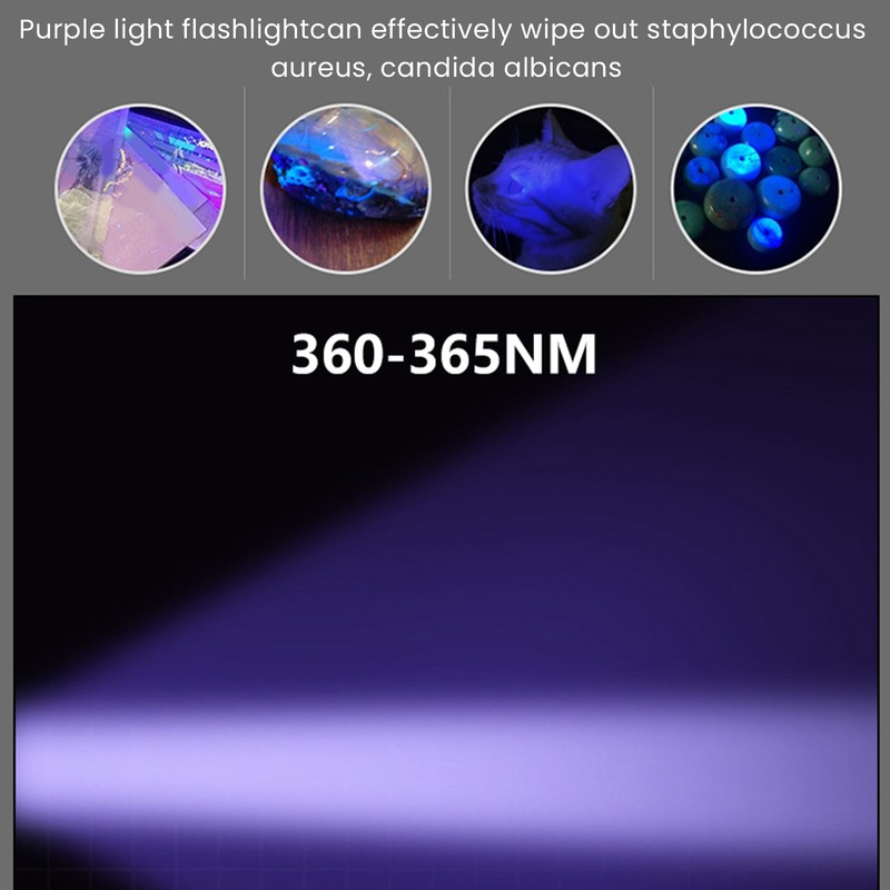 UV Flashlight Black Light Flashligh 4 Core 15W for Pet