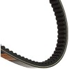Daytona Fusion V-Belt for Motorcycles (86-06) Spacey 250 (84-88) Freeway