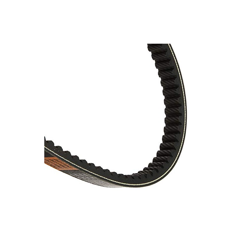 Daytona Fusion V-Belt for Motorcycles (86-06) Spacey 250 (84-88) Freeway