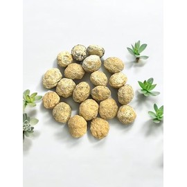 Steinfixx Premium Quarz Minigeoden Set zum selber aufbrechen I geschlossen I Glcksgeoden I Partyspass I Break Your own | pr?chtige wei?e Kristalle (20 Stck 1-2 cm)