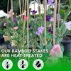 SWANGSA 65 Pack 6 Feet Garden Bamboo Stakes for Plant