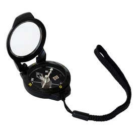 Wallis Brújula, Color Negro, Pequeño