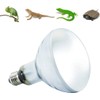 ShiawaseforU Reptile Light, UVA, Daytime Spotlamp, Amphibian Lighting, Natural Sunlight,