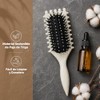 Cepillo Para Cabello Rizado Para Mujeres,cepillo definidor de rizos. |
