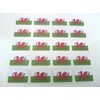 Mini Sticker Pack, 25x12mm Rectangle, Self-Stick Wales Labels, Welsh Dragon Flag Stickers