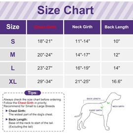 cyeollo Dog Life Jacket with Reflective Printed Dog Life Vest for Swimming Boating, High Flotation Pet Safety Vest for Small Medium Dogs Lightweight Dog Lifejackets with Front Float, Yellow M