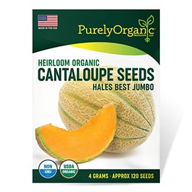 Purely Organic Cantaloupe Seeds (Hales Best Jumbo) - Approx 120 Seeds - Certified Organic, Non-GMO, Open Pollinated, Heirloom, USA Origin