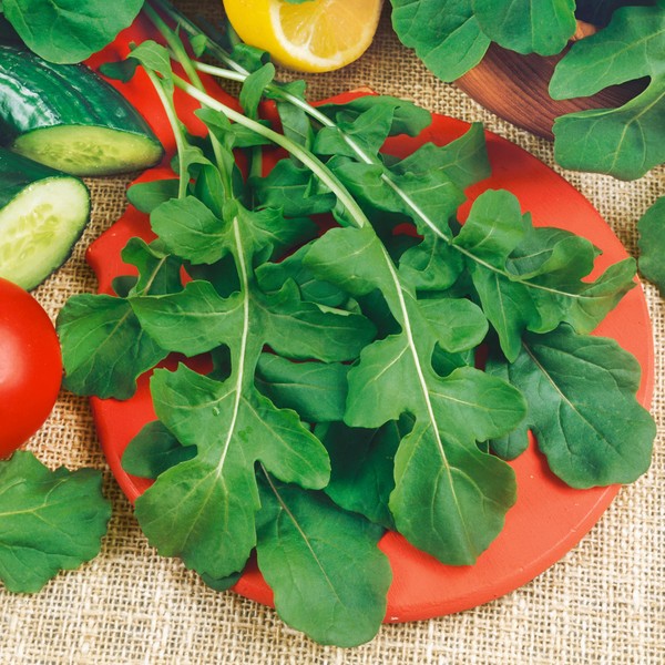 Runway Arugula Seeds - 1 g Packet ~400 Seeds -