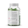 No Bloat Gummies for Gut Health & Digestion – Digestive