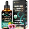 USDA Organic Lymphatic Drainage Supplement - Echinacea | Elderberry |