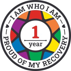Recovery Pride Medallion in Years 1-50 Recovery AA Chip Sober Medallion (Year 1)
