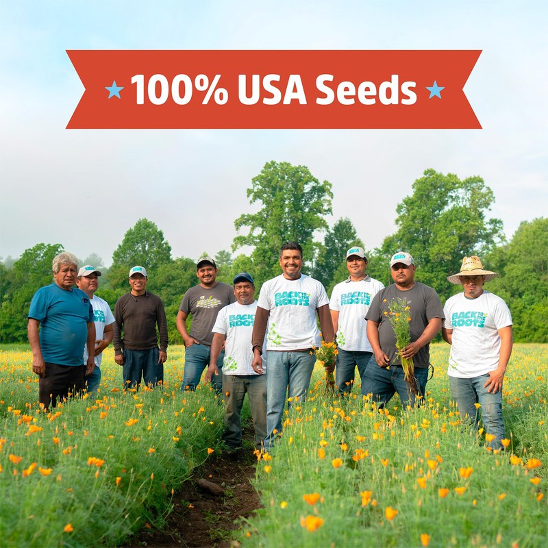 Back to the Roots - 100% Organic Seed Packet -