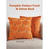 Set of 2 Autumn Cushion Covers 40x40cm 16x16 Inch Square