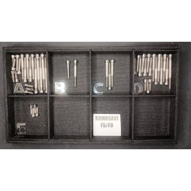 Stainless Cycle Kawasaki F9 F5 Bighorn Polished Stainless Engine Bolt Kit Set 1970-1975 350
