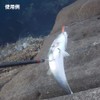 Ori-955528 Fishing Gear for Landing Blue Objects with Rope Hanging