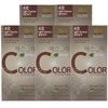 Assanta 1 minute hair color dye No. 4 / 아스산타 1분 헤어칼라 염색약 4호X5개/새치커버 염모제