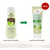 Herbal Hair Shampoo and Conditioner Set - with Leech Lime
