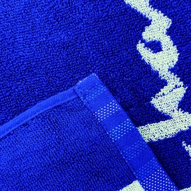 Champion 5065022700 Sports Towel, Approx. 13.4 x 43.3 inches (34 x 110 cm), Speed Logo, Blue