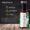 VIDA SCENTS OLEOS Aceite Esencial de Albahaca 10 ML 100%