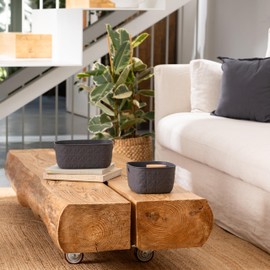 CURVER Softex 4x 4L Storage Baskets, 100 percent Recycled Material, Lightweight, For Bathroom, Living Room, Kitchen, Dark Grey