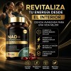 Suplemento Resveratrol Nad+ 100 Cápsulas Blandas