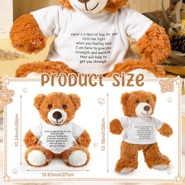 Lenwen A Bear Hug Gift Get Well Soon Bear Gift Plush Stuffed Animal Bear Hug Thinking of You Sympathy Gift for Women Kids Condolences Memorial Loved (Dark Brown)