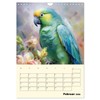 Bunte Vögel. Bezaubernde Papageien-Aquarelle (Wandkalender 2026 DIN A4 hoch), CALVENDO
