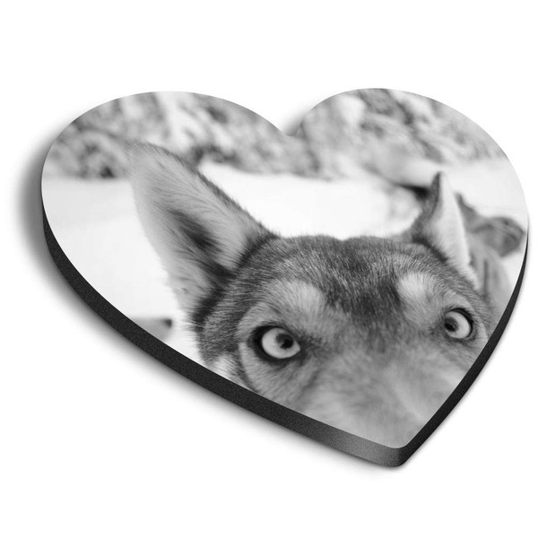 1 x Heart MDF Magnets - ny Husky Dog Puppy