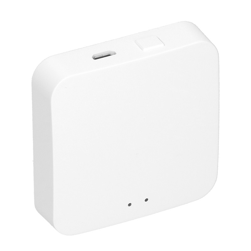 Intelligent Wireless Gateway Hub WiFi 802.11 B/g/n AI Voice Control