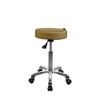 Source One Beauty SPA NUMA Button Esthetician Stool with Metal
