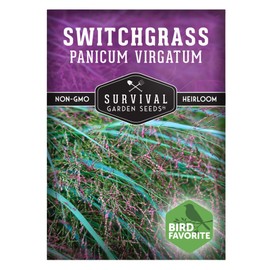 Survival Garden Seeds - Switchgrass Seeds for Planting | Panicum virgatum | North American Native Bunchgrass Plant | Prairie Restoration, Wildlife Cover - 1 Pack