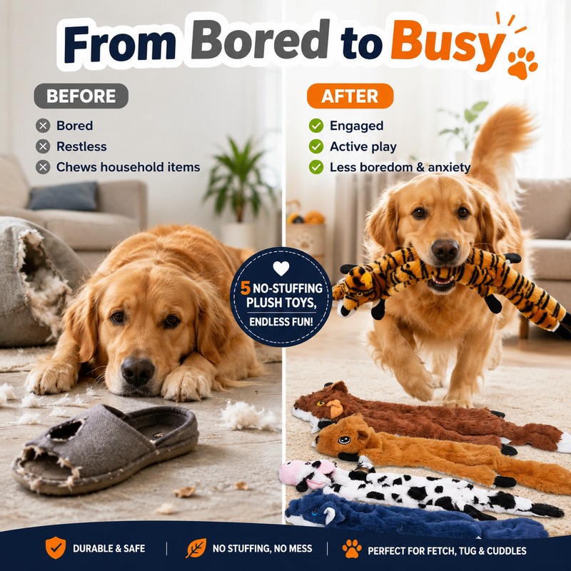 5 pieces No-Stuffing Dog Squeaky Toy for Interactive Play –