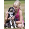 LupinePet Originals 1/2" Bling Bonz 8-12" Adjustable Collar for Small
