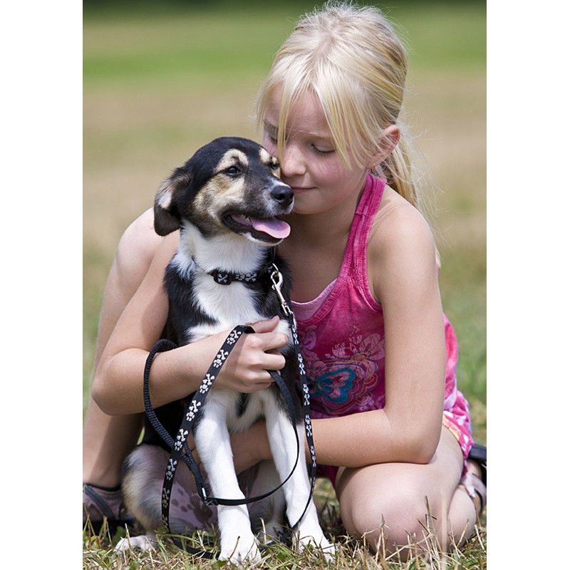 LupinePet Originals 1/2" Bling Bonz 8-12" Adjustable Collar for Small