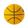 Mikasa Port Ball, Game Ball (For Boys, Girls, Elementary School