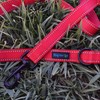 Wagtime Club Soft &Thick Dual Handle 6FT Dog Leash, Premium
