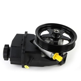 Autodevil 20-69989 Power Steering Pump Fit for Impala 3.5L 3.9L 2006-2011, Monte Carlo 2006-2007, Power Assist Pump with Pulley Replacement for 15267585, 88964358, 88964571