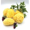 Natural Sea Cotton Body Sponge L
