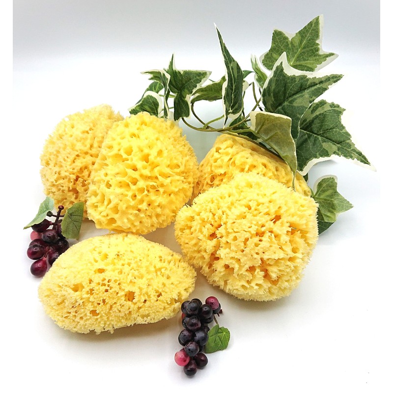 Natural Sea Cotton Body Sponge L