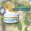 Sudsverse Body Cream with Marula Oil and Shea Butter, Cocoa