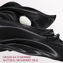 WLOSJ 100% Silk Pillow Cases Standard Size Mulberry Silk Pillowcase for Hair and Skin 22 Momme Highest Grade 6A Silk with Hidden Zipper 20 x 26 Inches 1PC, Black