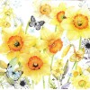 (2) Two Paper Lunch Napkins for Decoupage/Mixe
