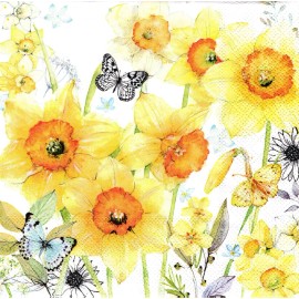 (2) Two Paper Lunch Napkins for Decoupage/Mixe