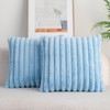 DEELAND Pack of 2,Double-Sided Faux Fur Plush Decorative Throw Pillow