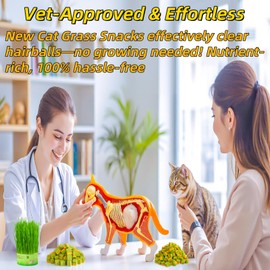 GREMBEB Cat Toy Grass Treats Freeze Dried 2 in 1 60g Fish Oil Chicken Cats Chew Grass Pellet Kitten Catnip for Hairball Removal Kitty Bite Snack for Cleaning Teeth Kitten Dental Food Indoor (2.12oz)