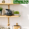 Garlic Press Stainless Steel, Garlic Mincer Tool with Storage Container,