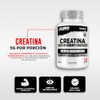 Testrol Creatina Essential Creatina Monohidratada Apoyo a Potencia, Resistencia y